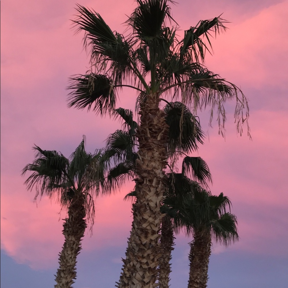 Meet your Posher, Victoria